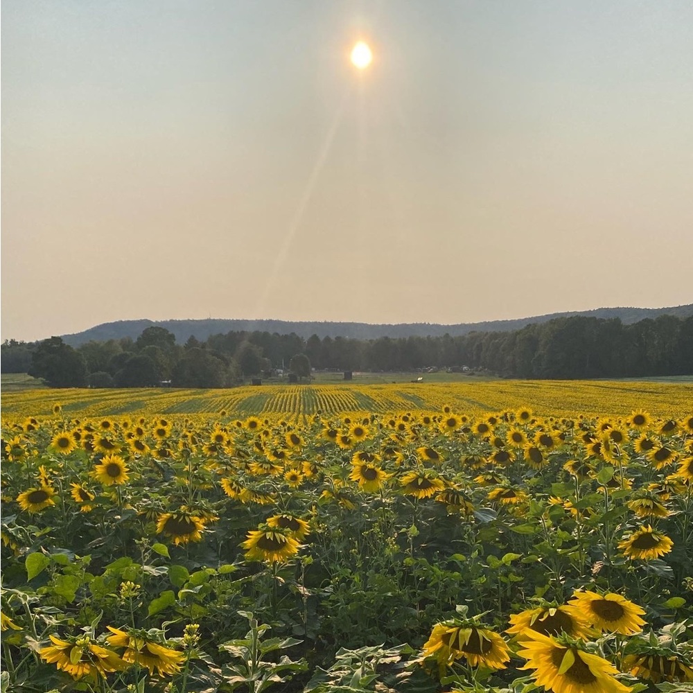 Meet your Posher, Kristi